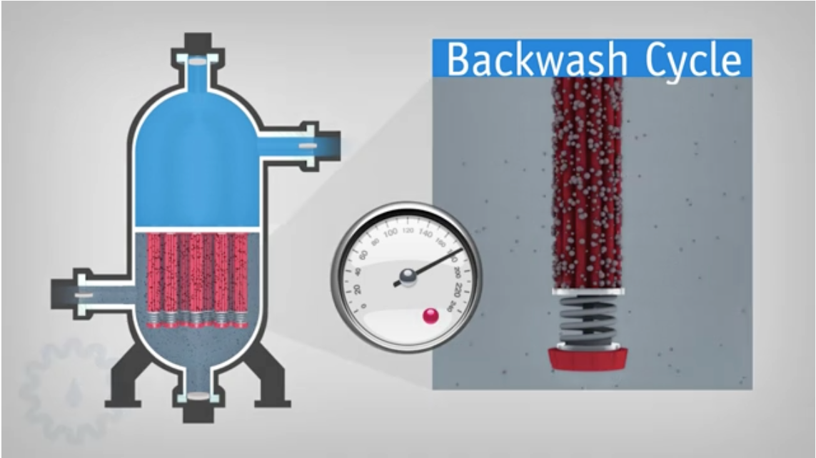 backwash cycle